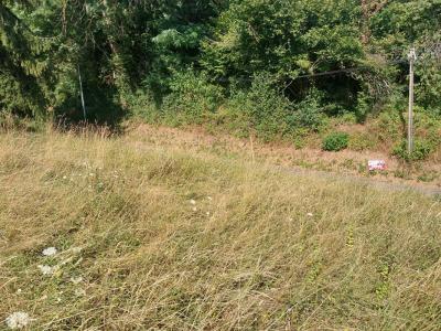 For sale Gillonnay 458 m2 Isere (38260) photo 1