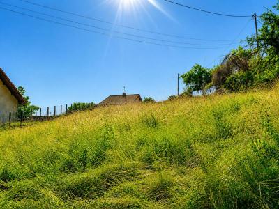 For sale Gillonnay 1346 m2 Isere (38260) photo 1