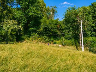 For sale Gillonnay 1346 m2 Isere (38260) photo 2