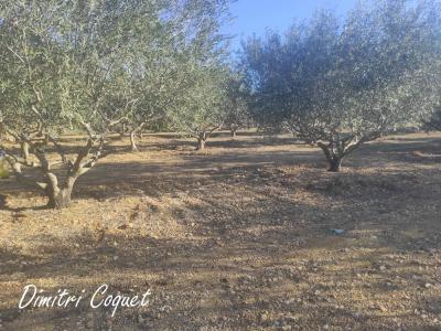 Acheter Terrain Pouzolles 25000 euros