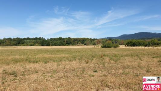 Annonce Vente Terrain Belfort 90