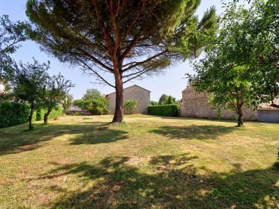 For sale Sainte-ouenne 5 rooms 132 m2 Deux sevres (79220) photo 1
