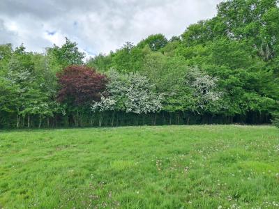 For sale Bouliac 950 m2 Gironde (33270) photo 0