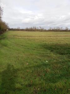 For sale Artigues-pres-bordeaux 900 m2 Gironde (33370) photo 0