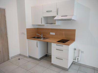 Louer Appartement 39 m2 Vertou