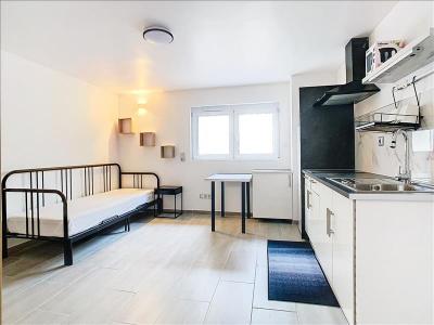 For rent Saint-julien-en-genevois 1 room 17 m2 Haute savoie (74160) photo 1