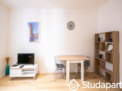 Louer Appartement Lyon-1er-arrondissement Rhone