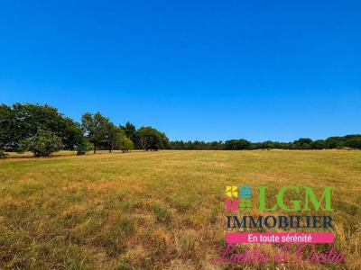 Acheter Maison 218 m2 Aucamville