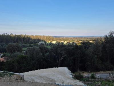 Annonce Vente Terrain Serra-di-fiumorbo 20