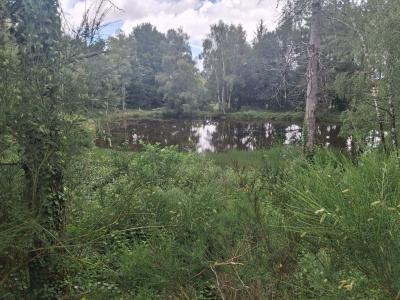 Acheter Terrain  28000 euros