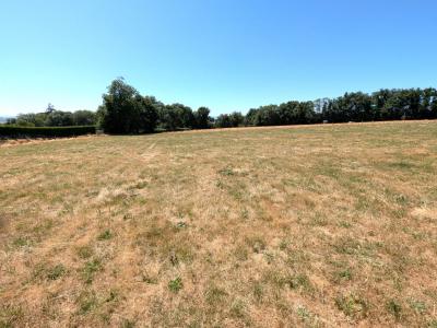 Annonce Vente Terrain  42