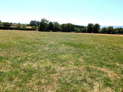 Acheter Terrain 