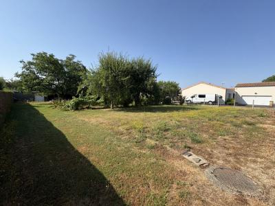 For sale Maine et loire (49122) photo 1