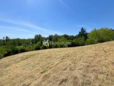 Annonce Vente Terrain Auzielle 31