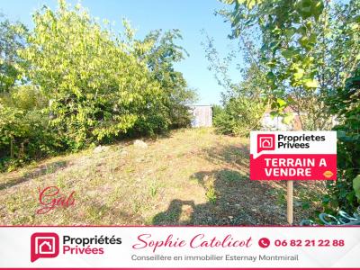 For sale Esternay 281 m2 Marne (51310) photo 0