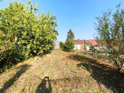Annonce Vente Terrain Esternay 51