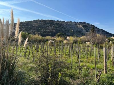Annonce Vente 4 pi�ces Maison Cornas 07
