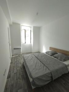 Annonce Location 2 pi�ces Appartement Perpignan 66