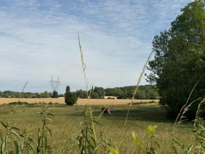 For sale Penchard 558 m2 Seine et marne (77124) photo 2