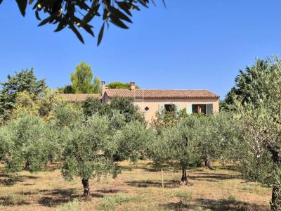 Annonce Vente Prestige Saint-remy-de-provence 13