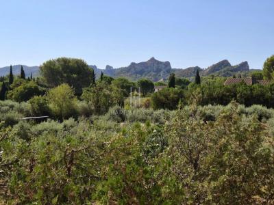 Acheter Prestige 255 m2 Saint-remy-de-provence