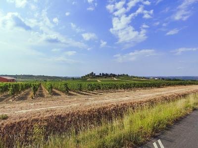 For sale Pailhes 322 m2 Herault (34490) photo 0