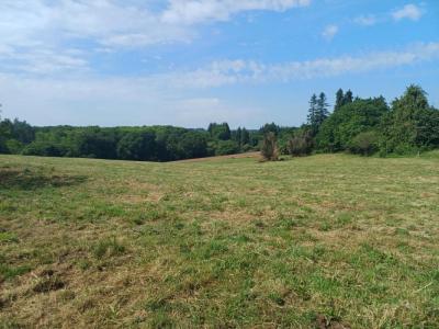 For sale Inguiniel 2 rooms 67 m2 Morbihan (56240) photo 4