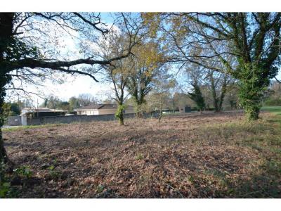 Annonce Vente Terrain Porcheres 33