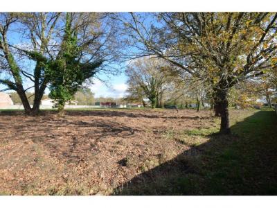 Acheter Terrain 3300 m2 Porcheres