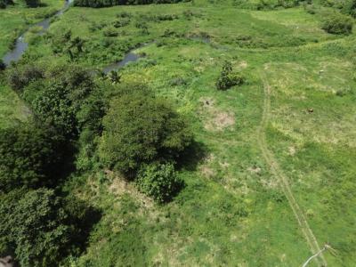 Annonce Vente Terrain Petit-bourg 971