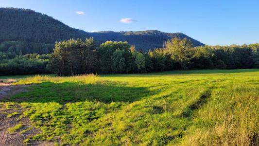 Acheter Terrain 2161 m2 Saint-die