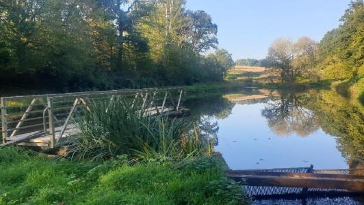 For sale 21498 m2 Haute vienne (87400) photo 0