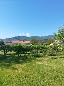For sale CENTRE VILLAGE 5 rooms 110 m2 Loire (42410) photo 0