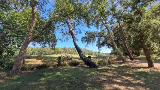 For sale Moliets-et-maa 3 rooms 44 m2 Landes (40660) photo 1