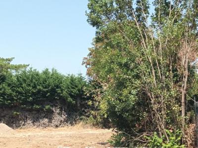 For sale Nieul-sur-mer 1162 m2 Charente maritime (17137) photo 0