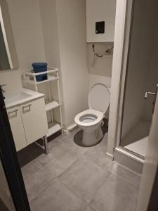Louer Appartement Lyon-7eme-arrondissement Rhone