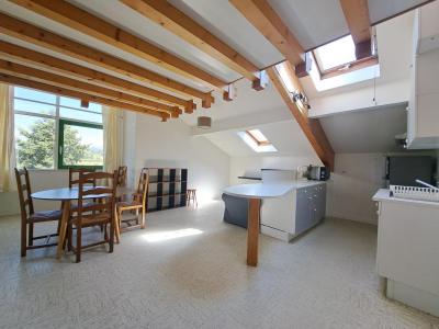 For rent Allonzier-la-caille 2 rooms 50 m2 Haute savoie (74350) photo 0