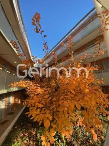 Louer Appartement Saint-martin-le-vinoux 483 euros