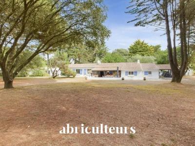 Annonce Vente 8 pi�ces Maison Epine 85