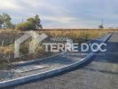 For sale Land Montans  655 m2