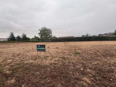 For sale Revel 1540 m2 Haute garonne (31250) photo 0
