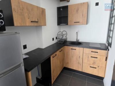 Louer Appartement 23 m2 Tampon