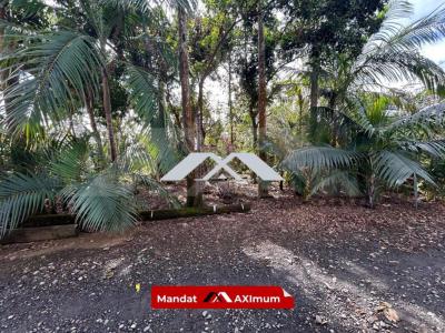 Annonce Vente Terrain Saint-benoit 974