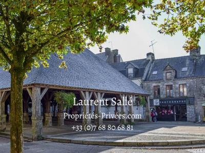 Annonce Vente Immeuble Questembert 56