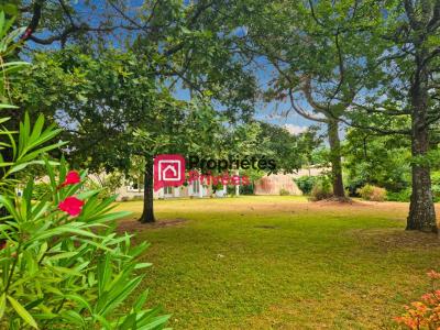 For sale Langon 8 rooms 225 m2 Gironde (33210) photo 2
