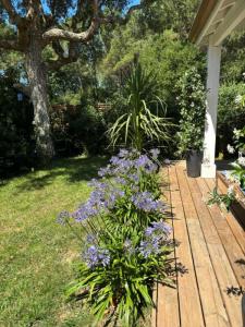 For sale Capbreton 3 rooms 60 m2 Landes (40130) photo 3