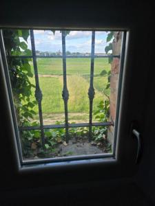 For sale Bagard 6 rooms 171 m2 Gard (30140) photo 4