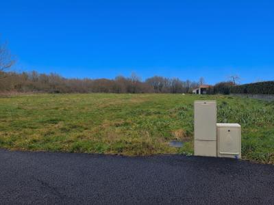 For sale Marne 984 m2 Loire atlantique (44270) photo 3