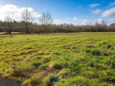 For sale Marne 913 m2 Loire atlantique (44270) photo 2