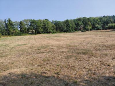 For sale Flere-la-riviere 9803 m2 Indre (36700) photo 0